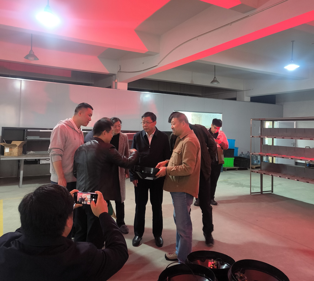 合肥大學(xué)-華路德